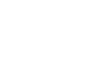 Families of Freedom Logo