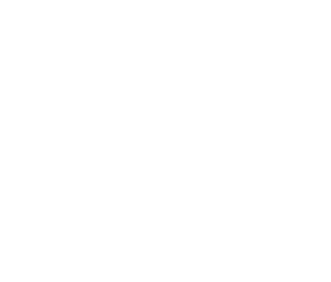 Families of Freedom Logo
